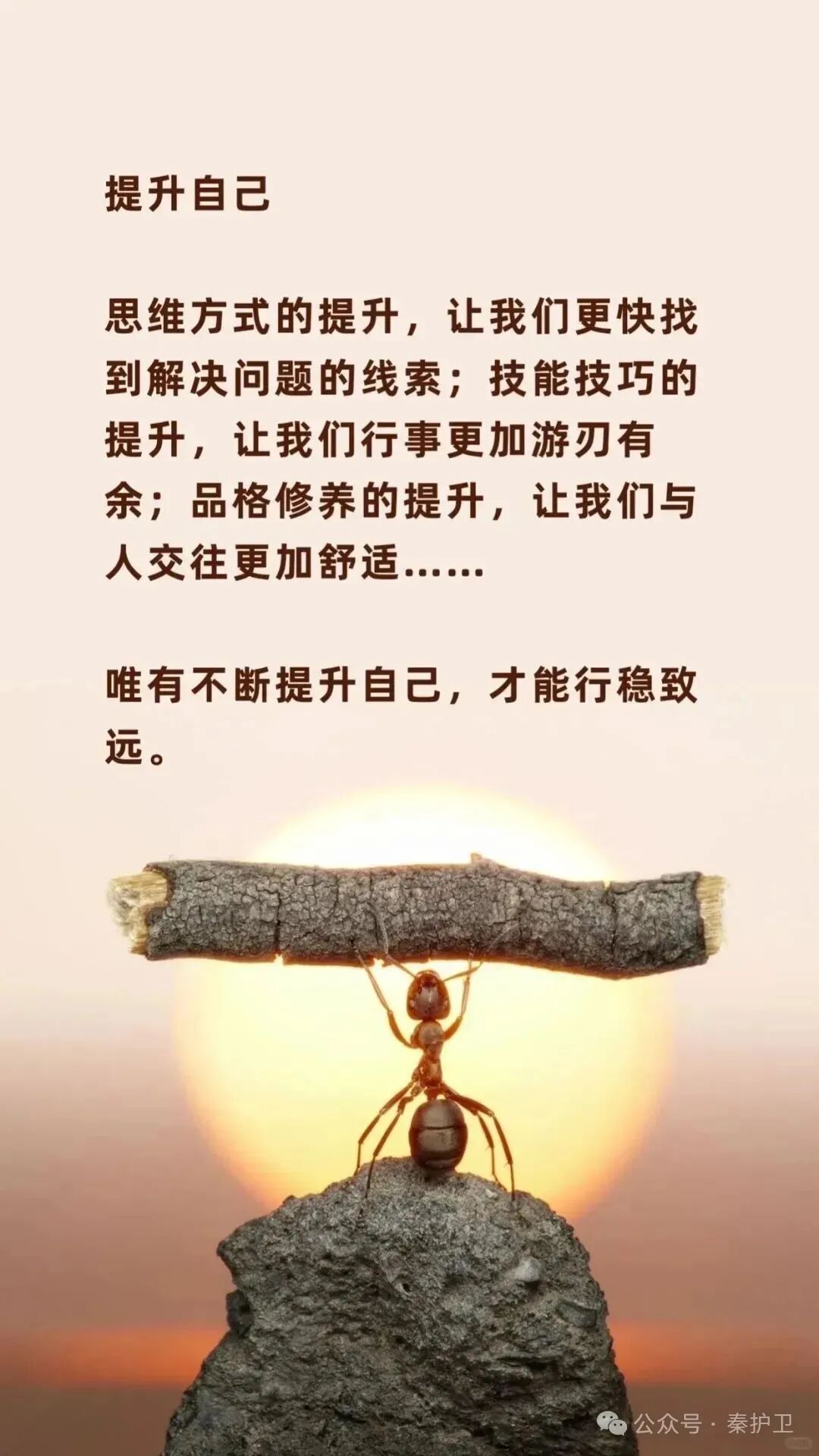 083a808dc1ee0d2a3357999c82d0c10f