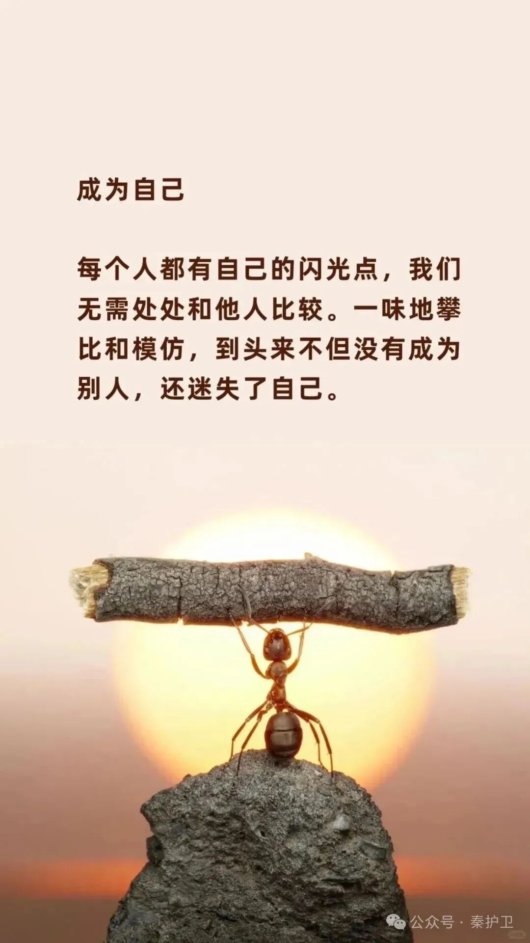 743e5a25fd00bfa0bab840f926b73f4b