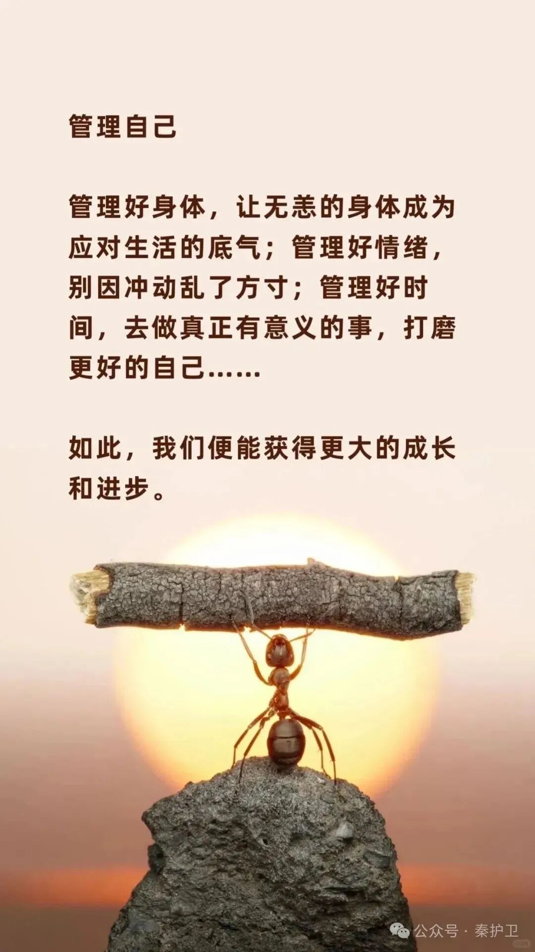 0afc02677c7e26f5394f4a9c4b5ff80e