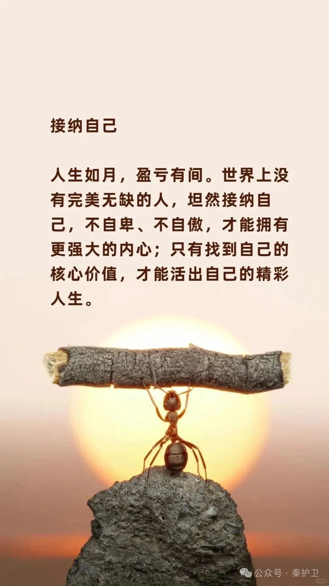 ed9420d4e8e54524eabd2fde5a2ad02d.jpg